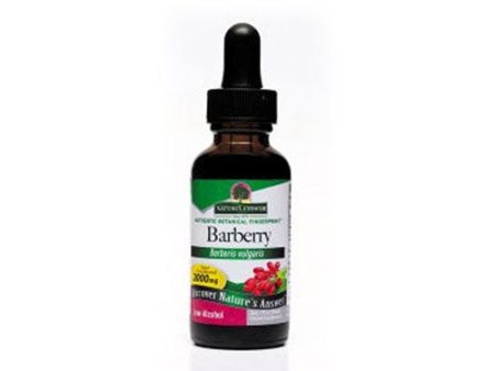 Barberry Root 1 FL Oz By Nature s Answer For Sale