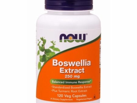 Boswellia Extract 120 Caps By Now Foods Discount