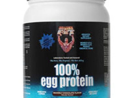 100% Egg Protein Heavenly Chocolate 2 LB By Healthy N Fit on Sale